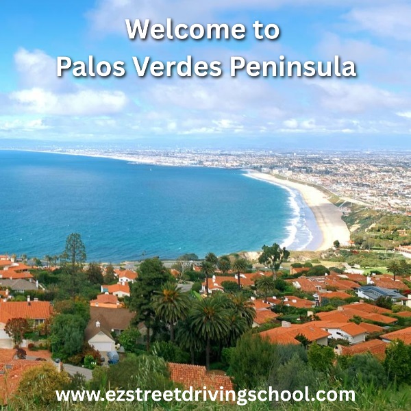 Driving Lessons in Palos Verdes Peninsula